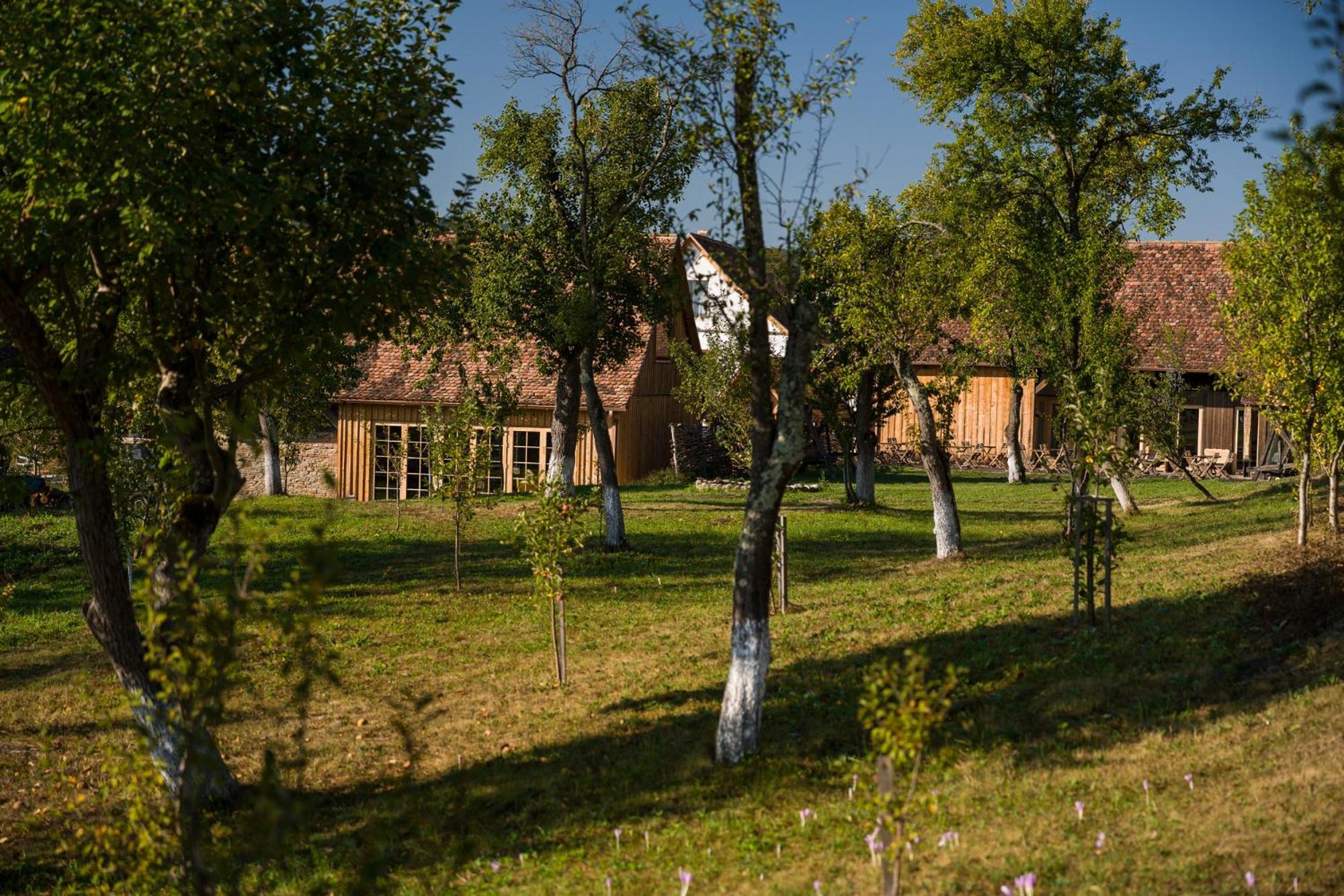 Mesendorf Gasthaus Exterior foto